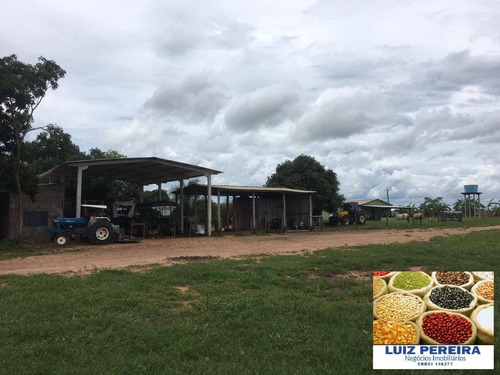 Imagem 6 de 8 de Fazenda À Venda Em Camapuã - Ms - De 865 Hectares (pecuária) - 1674