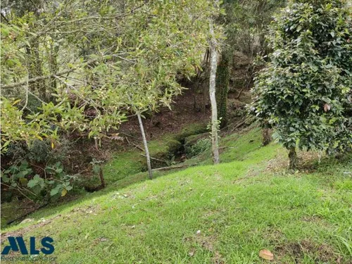 Hermoso Lote En Parcelacion En Alto De Las Palmas(mls#237565)