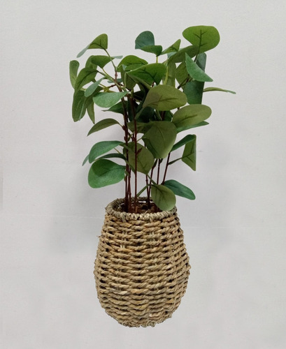 Planta Artificial Con Maceta Escritorio Deco Piedras Pettish