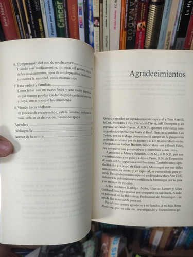 Cómo Superar La Depresión Posparto - Linda Sebastián (Usado)