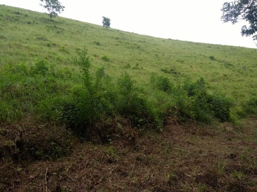 Imagem 13 de 30 de Fazenda - Fa00004 - 67650297