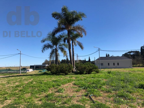 Imagen 6 de 21 de Venta De Lotes En Zarate Golf Park
