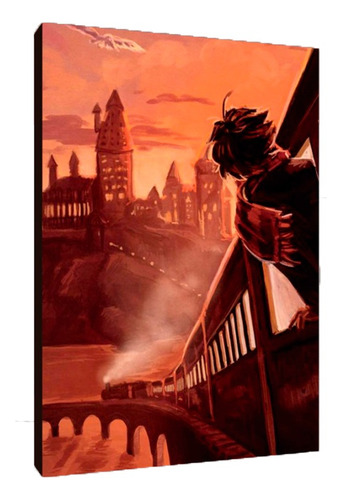 Cuadros Poster Harry Potter S 15x20 (php (4))