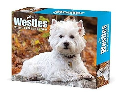 Westies 2022 Box Calendar - Dog Breed Daily Desktop 