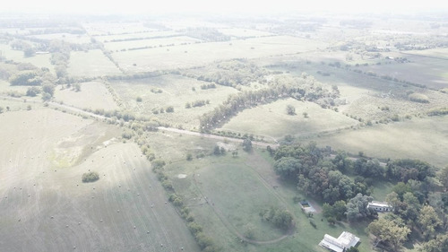 Imagen 8 de 17 de Campo - Fátima Estacion Empalme