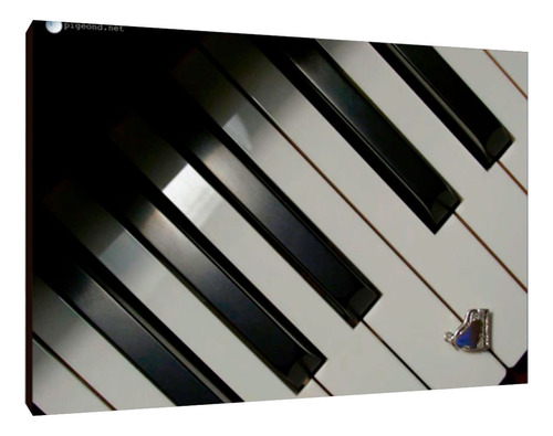 Cuadros Musica Instrumentos Pianos S 15x20 (pno (28))