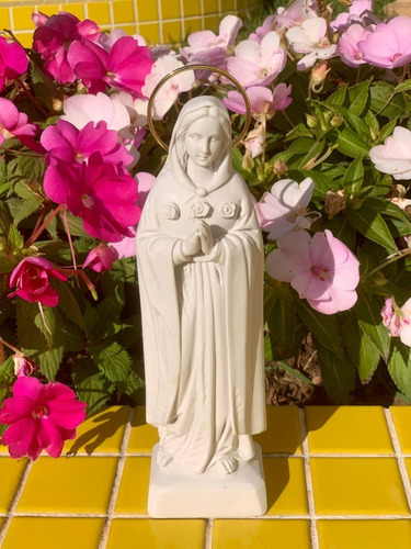 Nossa Senhora Da Rosa Mistica 20cm Com Aureola Em Mármore 