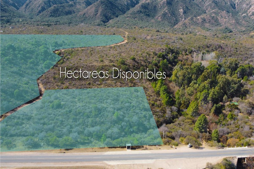 Imagen 21 de 24 de 5 Hectáreas 6 Lotes De 1000m2 Sobre Ruta Nº 1 - Cortadera