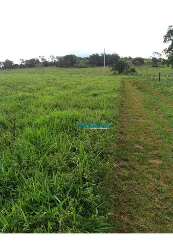 Imagem 1 de 8 de Fazenda À Venda, 217 Hectares - Zona Rural - Dom Aquino/mt - Fa0226