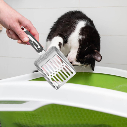 L Pás Para Areia De Gato, Pás De Malha, Pás Cinzas