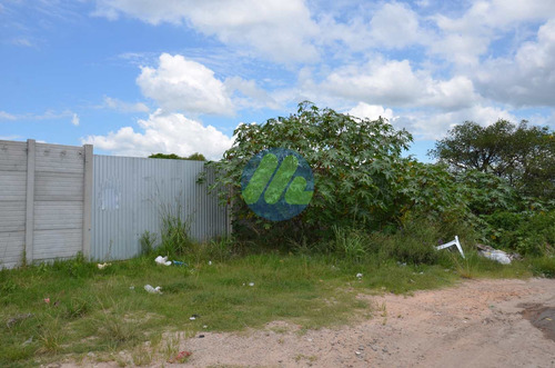 Imagem 5 de 6 de Terreno, Simões Lopes, Pelotas - R$ 700 Mil, Cod: 167 - V167