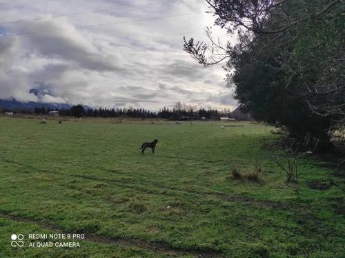 Parcela En Venta | 5.000 M² | Riñinahue - Lago Ranco