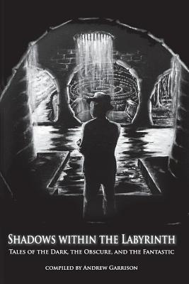 Libro Shadows Within The Labyrinth: Tales Of The Dark, Th...