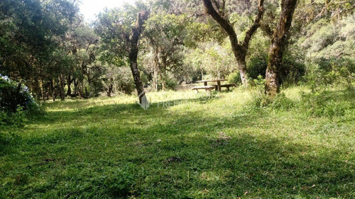 Imagem 9 de 15 de Terreno - Barragem Do Salto - Ref: 359235 - V-359235