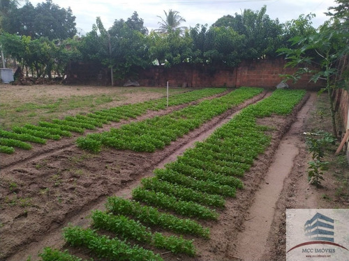 Imagem 5 de 5 de Granja A Venda Em Nísia Floresta