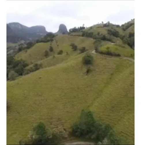 Venta De Finca En Paramillo, Tolima | Fincas En Venta