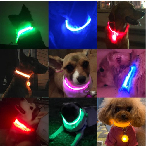 Collares De Luz Led Para Perros & Gatos 