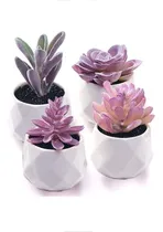 Comprar Juego De Plantas Suculentas Falsas - Plantas Suculentas...