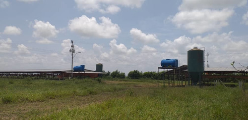 Imagen 10 de 13 de Finca En Venta El Tejero