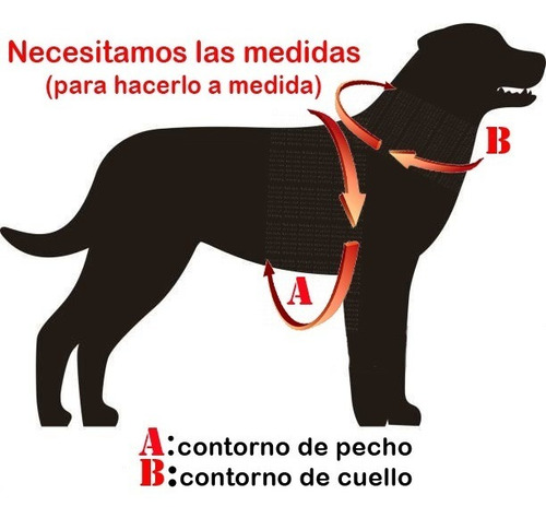 Arnes Pretal Acolchado Para Gatos Con Banda Reflectiva