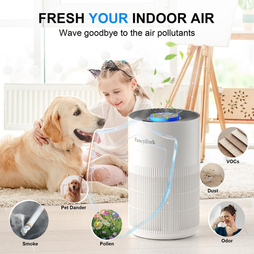 Purificador De Aire Fancybark Con Modo De Reposo Y Función D