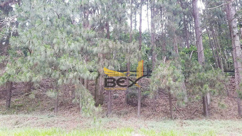 Imagem 11 de 17 de Terreno À Venda, 949 M² Por R$ 700.000,00 - Residencial Das Estrelas - Barueri/sp - Te0060