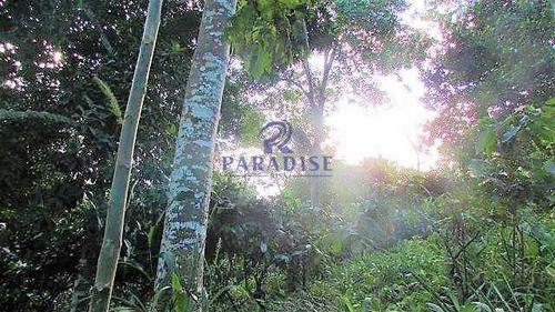 Imagem 23 de 30 de Fazenda Em Itabuna, Frente Para Br 101-160 Ha- R$ 10.000.000,00 - V65800