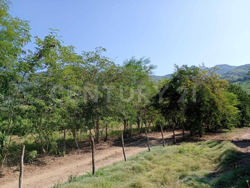 Parcela En Venta Augusto Gomez Villanueva Armeria, Colima