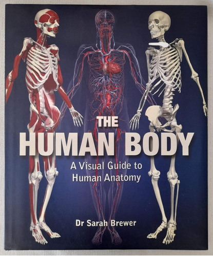 The Human Body - A Visual Guide To Human Anatomy - S Brewer