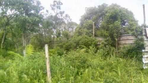Imagem 3 de 3 de Terreno Com 250 M², Lado Serra. Itanhaém | 4903-pc