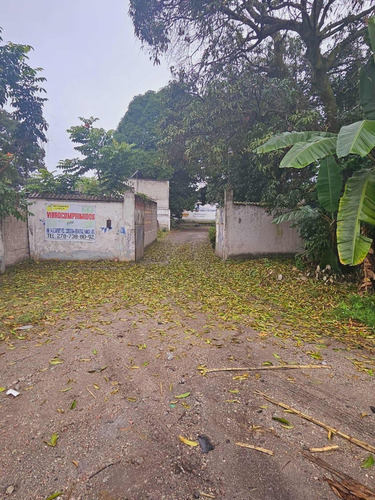 Venta De Terreno A Pie De Carretera En Yanga Veracruz