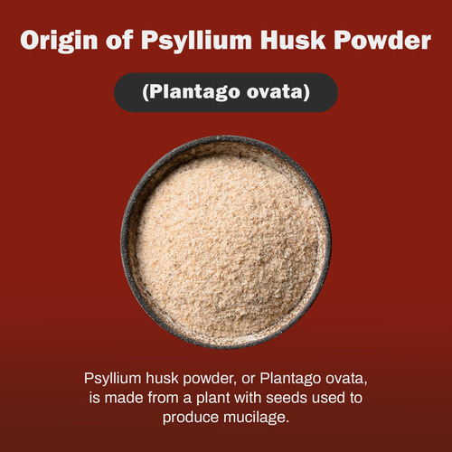 Boxnutra Psyllium Polvo Laxante Natural Fibra Dietética 1kg
