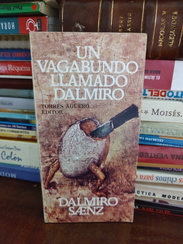 Un Vagabundo Llamado Dalmiro - Dalmiro Sáenz 