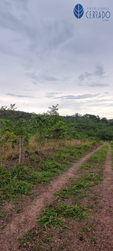 Imagem 4 de 5 de Venda De Terreno À 27km Saída Pra Corumbá 20mil Metros - Te4232421