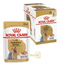 Comprar Paté Royal Canin Bhn Para Perros Yorkshire Adulto 12x85gr