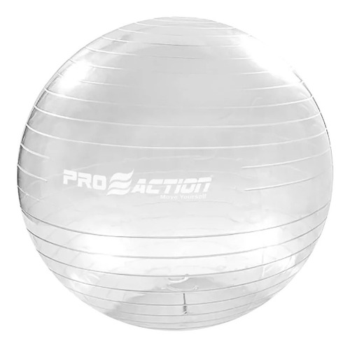 Bola Suíça Ginástica Pilates Yoga C/ Bomba - Pro Action 65cm