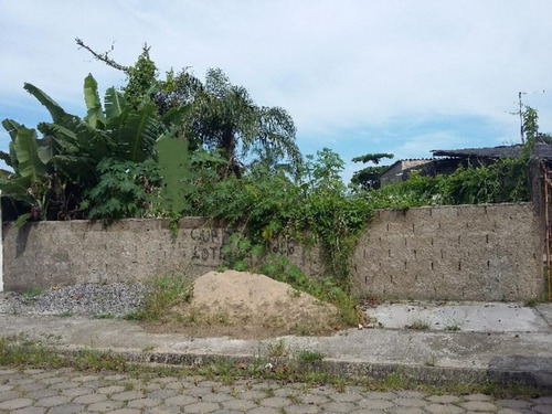 Imagem 3 de 5 de Terreno Murado Á 700 Metros Do Mar Em Itanhaém Sp - 3933 Npc