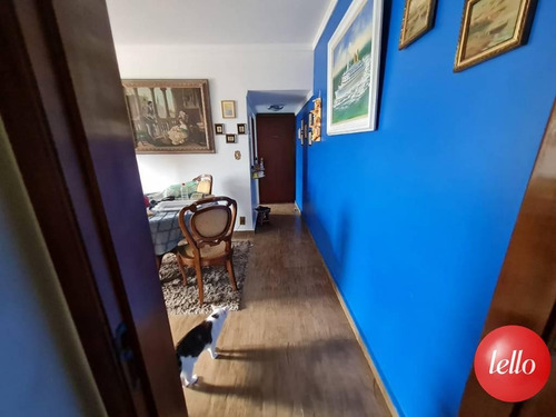 Imagem 5 de 25 de Apartamento - Ref: 224951