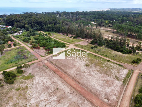 Terreno Para Quienes Buscan Construir O Invertir