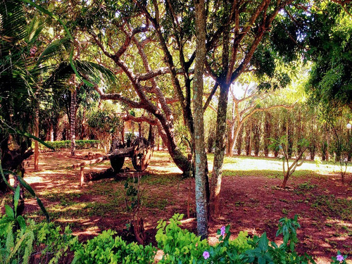 Imagem 20 de 30 de Sítio Completo Perto De Santa Luzia, Oportunidade! - Ch00003 - 34266482