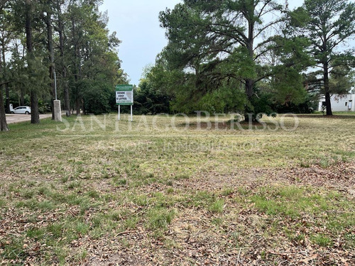 Terreno Lote  En Venta En Los Cardales, Exaltación De La Cruz, G.b.a. Zona Norte