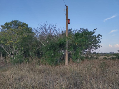 Imagen 6 de 9 de Campo En Sarandi (zona Esceula N° 17)