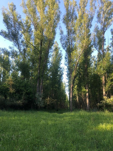 Imagen 8 de 10 de Campo - Gualeguaychu