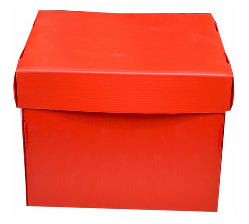Imagen 1 de 5 de Caja Big Box Plastificada - 43 Cm Rojo