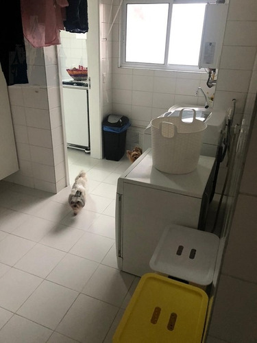 Imagem 26 de 28 de Apartamento Para Venda, 4 Dormitórios, Vila Dom Pedro I - São Paulo - 12028
