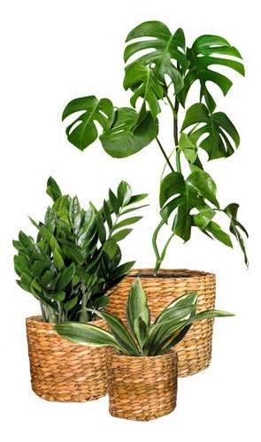 Jogo 3 Cachepots P M G Palha De Taboa Casa Plantas Decor 