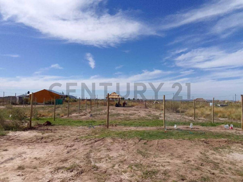 Venta Lote - El Carrizal Abajo- Lujan De Cuyo - Mendoza