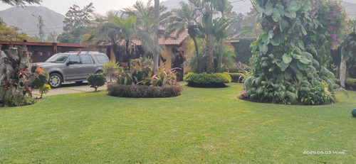 Palmeras De Condorhuaca Eventos Full Day 3000mts2.