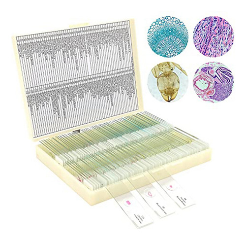 Portaobjetos De Microscopio Con Muestras De Niños, Microscop