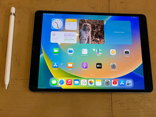 iPad Pro 10.5 + Apple Pencil + Mica De Regalo